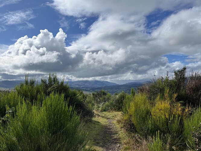Descending Knock of Crieff GM/SS-264