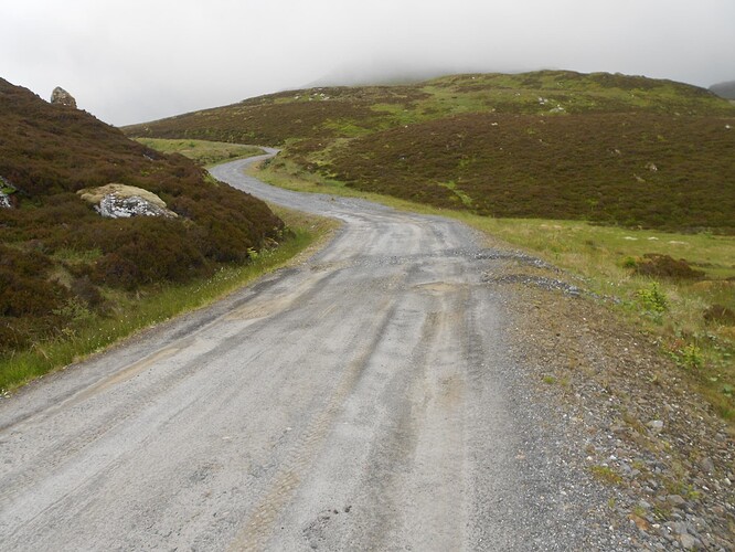CS80 MEALL TAIRNEACHAN, 21-06-24 (14)