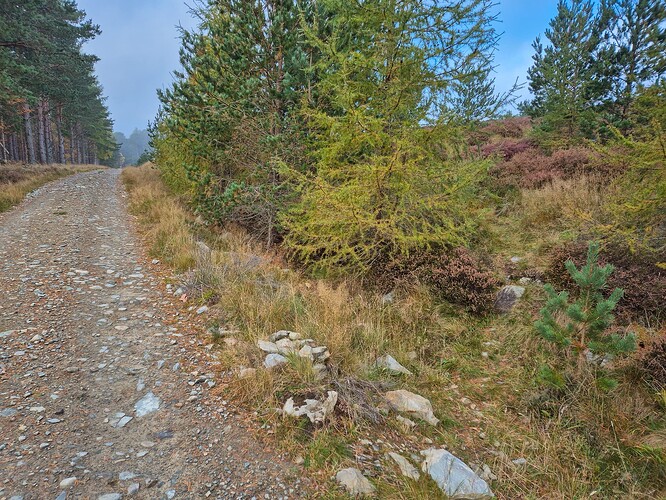 4461d6d9c2088f147949d7497cb2a8d578d62bae