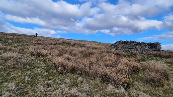 4-C & Sheepfold