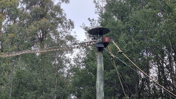 Canopy bridge solar powered camera and radio unit at top of pole.