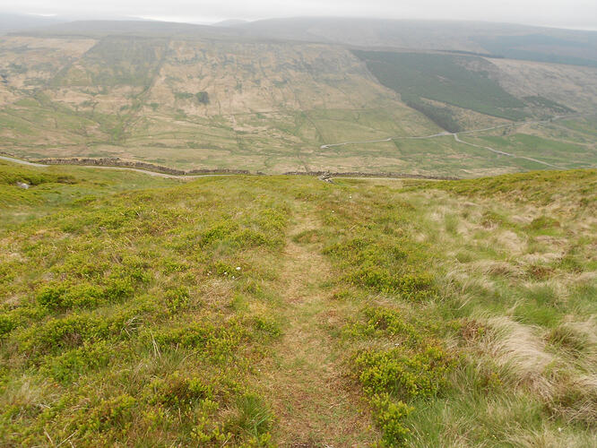 NP16 Dodd Fell, 29-05-26 (22)