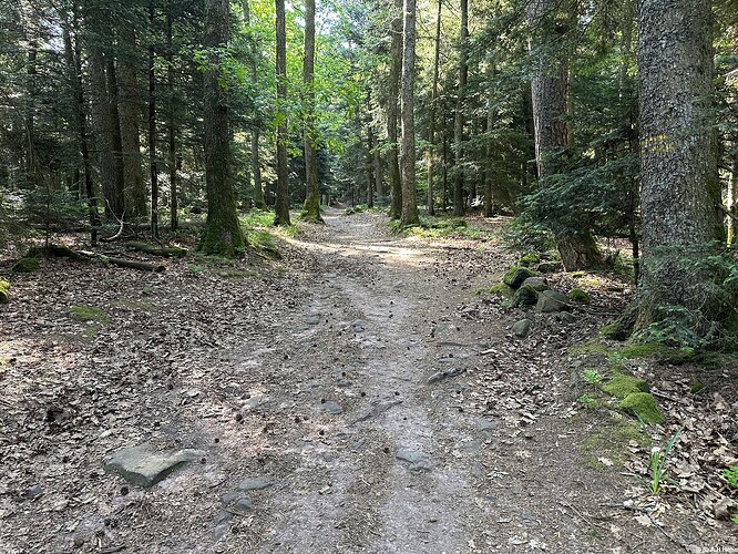 SOTA 2