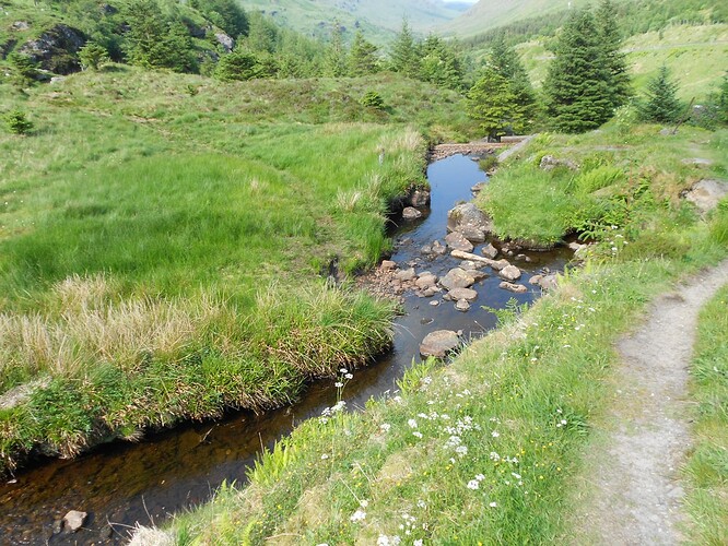 SS18-6,Beinn an Lochain,12-06-23 (92)