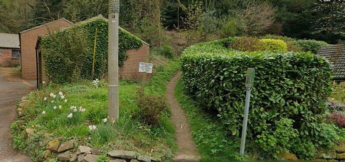 start_g-tw-003_trail