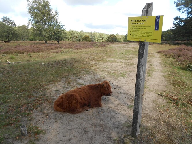 PA6 Signaal Imbosch & PA0HRM,22-09-25 (1)