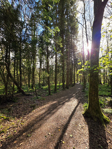 723da617-e567-4e35-8c44-88939484a590