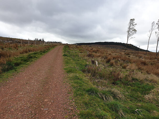 20260418_095213
