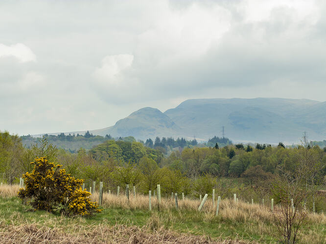 View of Dumgoyne and the Earl's Seat from near Edenmill