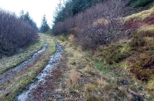 GM7STP-GMSS166-Photo-02