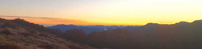 20250719_073611-cropped