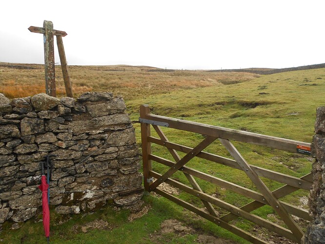 NP26 KISDON on HF, 21-10-25 (13)