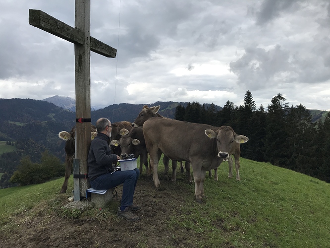 Talking_to_the_cows_on_Hinderberg-Buelhoechi_HB-LU-025