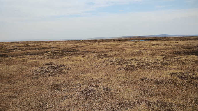 IMG_20250412_132751142 (copy)