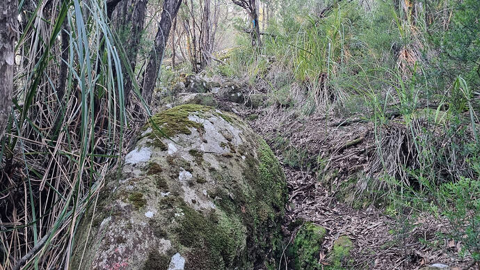 Faded red arrow on rock with distant blue trail marker flag.
