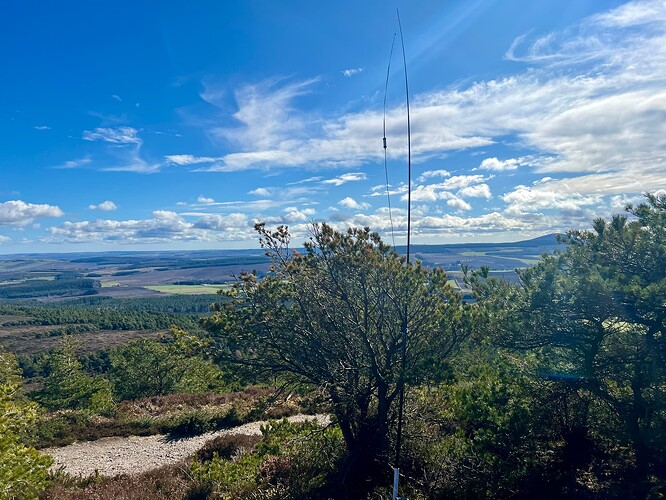 Station in the trees