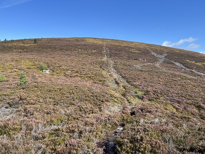 The wider bit ascending Meikle Conval