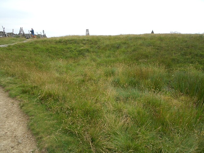 NP9,BuckPk,4m Contest Camp,160m,18to 19-07-24 (15)