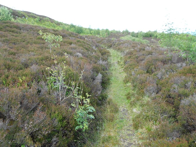 CS100 DUN COILLICH, 15-06-24 (3)