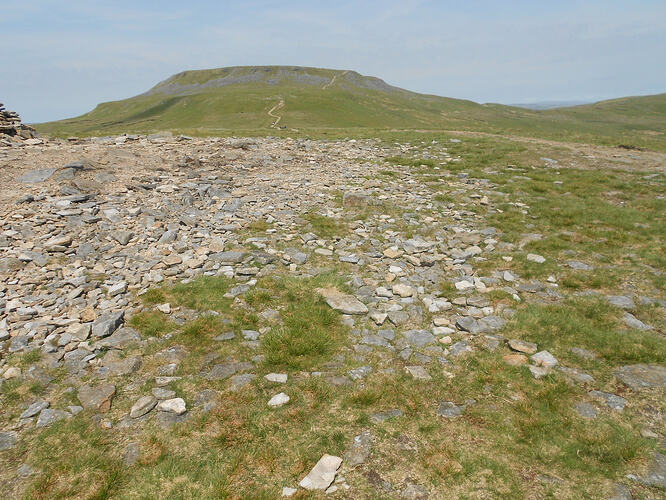 NP7 Ingleborough, 27-05-26 (16)