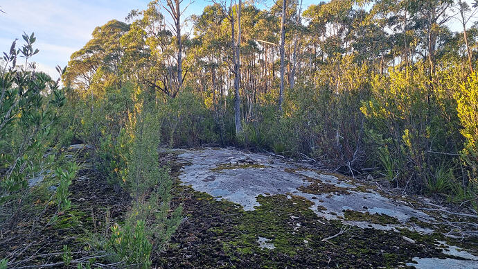 Large clear area near the summit.