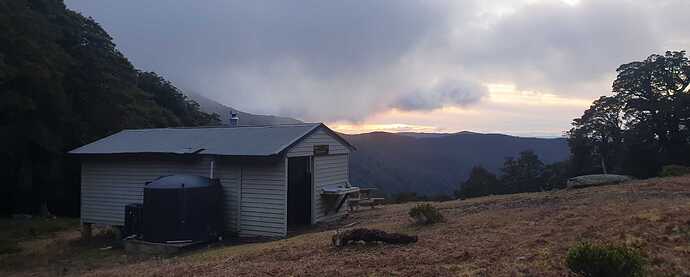 20250717_170745-cropped