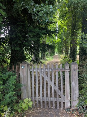 PXL_20250627_090206238