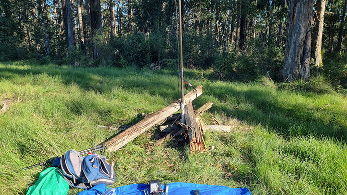 Antenna pole support using fallen timber.