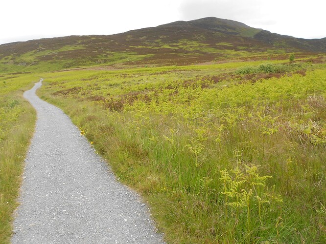 CS5 SCHIEHALLION, 17-06-24 (69)