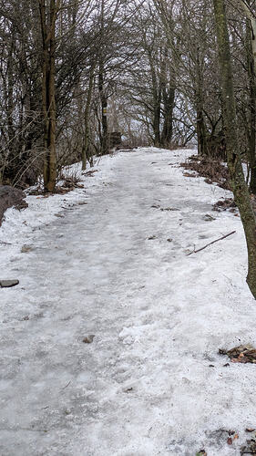 PXL_20260206_151651959