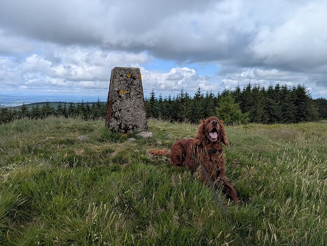 PXL_20250617_124041501