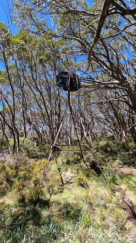 Dual band ground plane antenna and trig point.