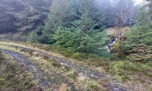 GM7STP-GMSS166-Photo-03