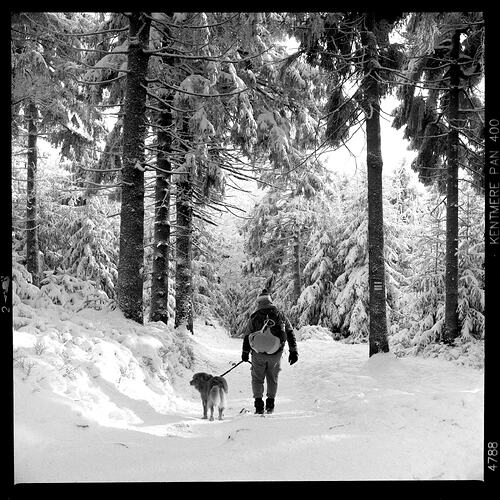 20260126-_DSC8377