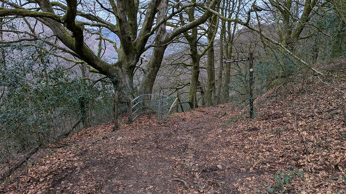 PXL_20260302_161713411.MP