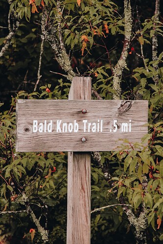 bald_knob_trail