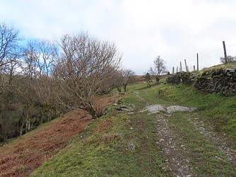 Ascending Foel Goch: nice path
