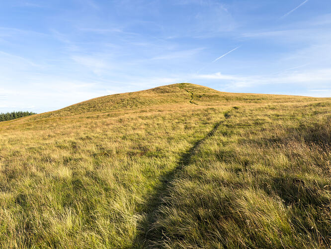 Final path towards the summit of Lendrick Hill