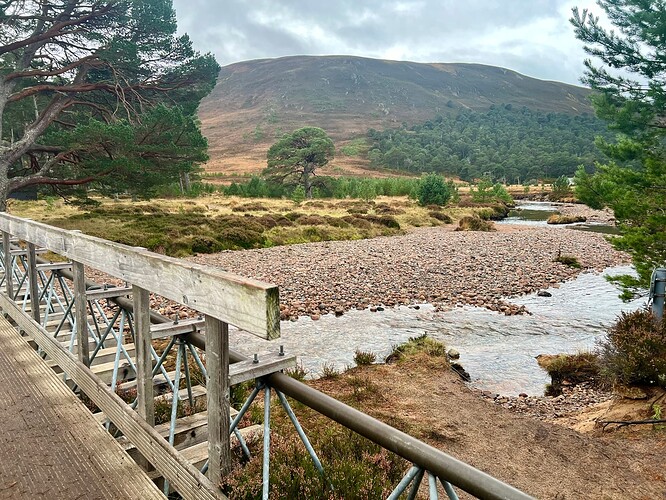 Bridge at Derry Lodge