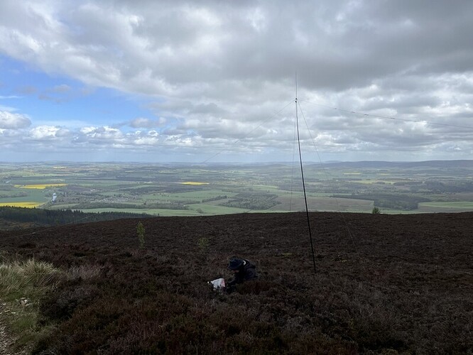 Cairn William HF