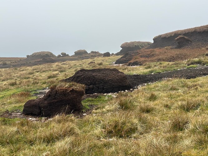 I'm starting to develop love-hate relationship with peat hags.