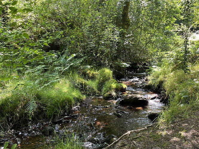lunch spot