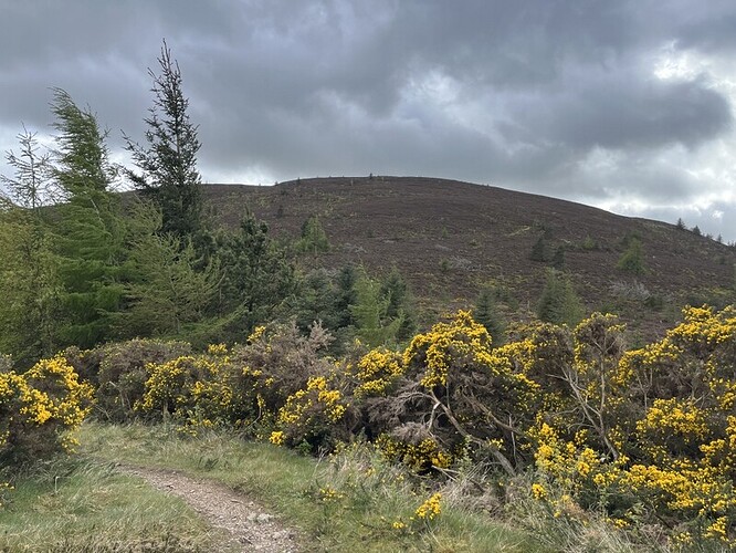 Looking back at Cairn William from col with Pitfichie Hill