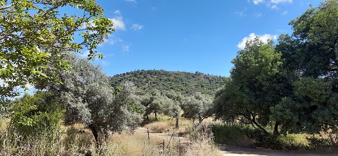 The hill from the entry gate
