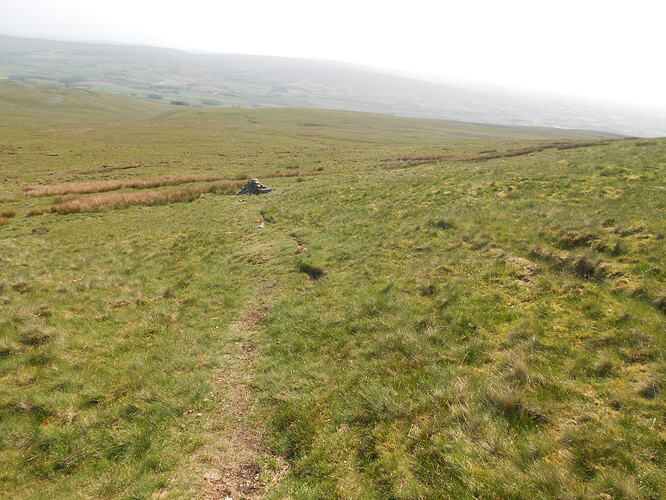NP7 Ingleborough, 27-05-26 (47)