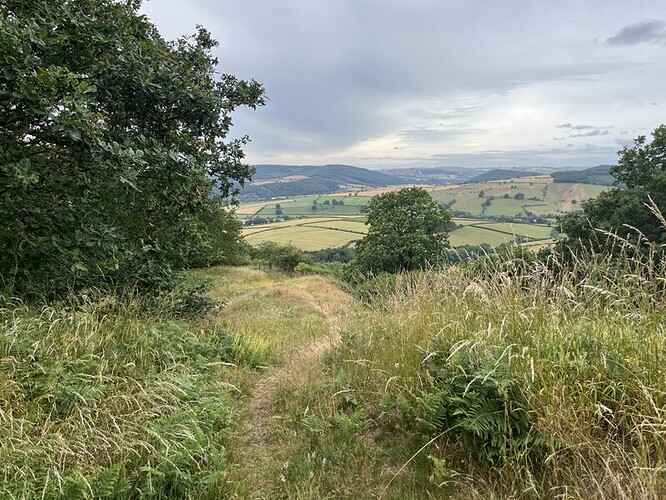 Descending western ramparts of Burrow