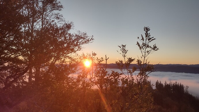 IMG_20241012_072207712_HDR