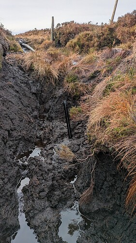 PXL_20251215_121747810.MP