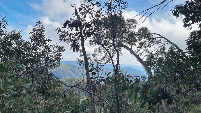 Obscured view to the west.