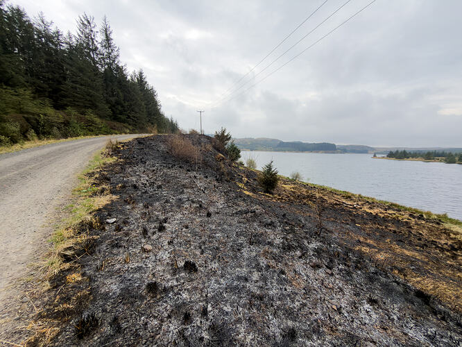 Grass fire remnants at Kilmannan Reservoir